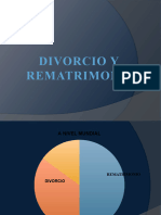 Divorcio y Rematrimonio Completa