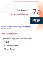 Chapter 07a - Axial Skeleton