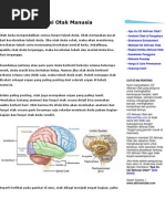 Download Anatomi Dan Fungsi Otak Manusia by Blacklights SN72255404 doc pdf