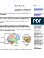 Anatomi Dan Fungsi Otak Manusia