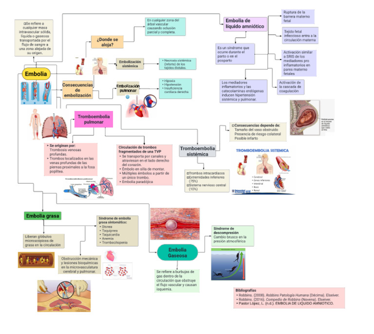 Mapa de Embolia | PDF
