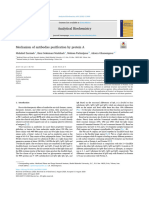 Artículo 1 Protein A