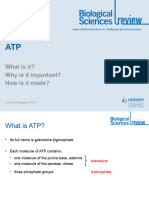 BiologicalReview29 4 ATP Presentation