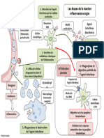 Schema Rc3a9action Inflammatoire 21