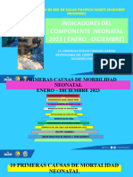 Evaliacion Neonatal Enero - Diciembre