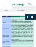 Ecosistema Manglar Semana+02+-+Wor - FLCSSK