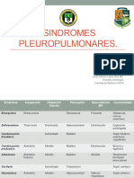Sindromes Pleuropulmonares Semiologia RX Torax