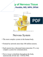 5-Histology of Nervous Tissue