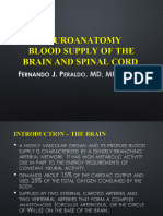 14-Blood Supply of the Brain and Spinal Cord