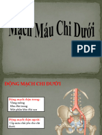 Mạch-thần Kinh Chi Dưới