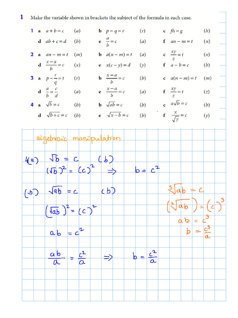 0406SA Making The Subject | PDF