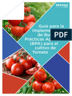 1.1 Manual Para Mejorar Produccion y Conocimientos 1 (TOMATE)