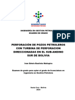 Guia documento casos estudio Ex grado (Lorena Petrolera amb) Ago2021