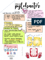 Gastroenterita Cu Campylobacter