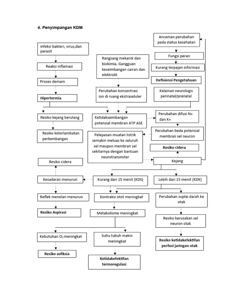 Penyimpangan KDM KEJANG | PDF