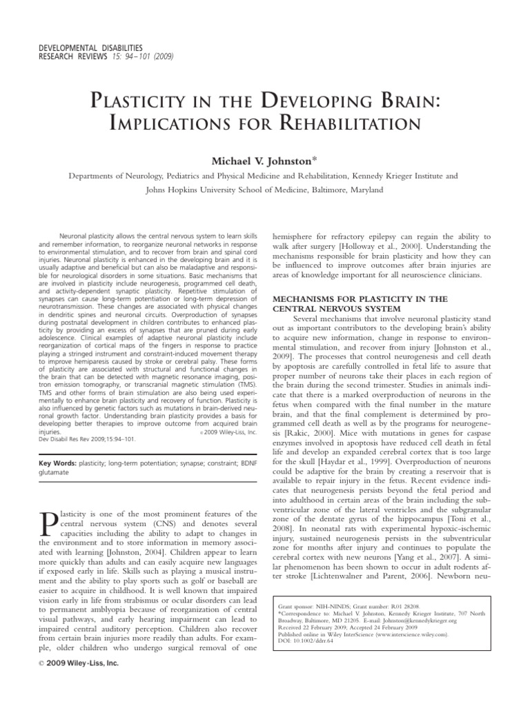 Brain Plasticity and Rehabilitation Insights | PDF | Synapse | Long ...