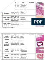 Jenis Jaringan Epitel