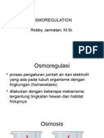 Osmoregulasi - Robby Jannatan