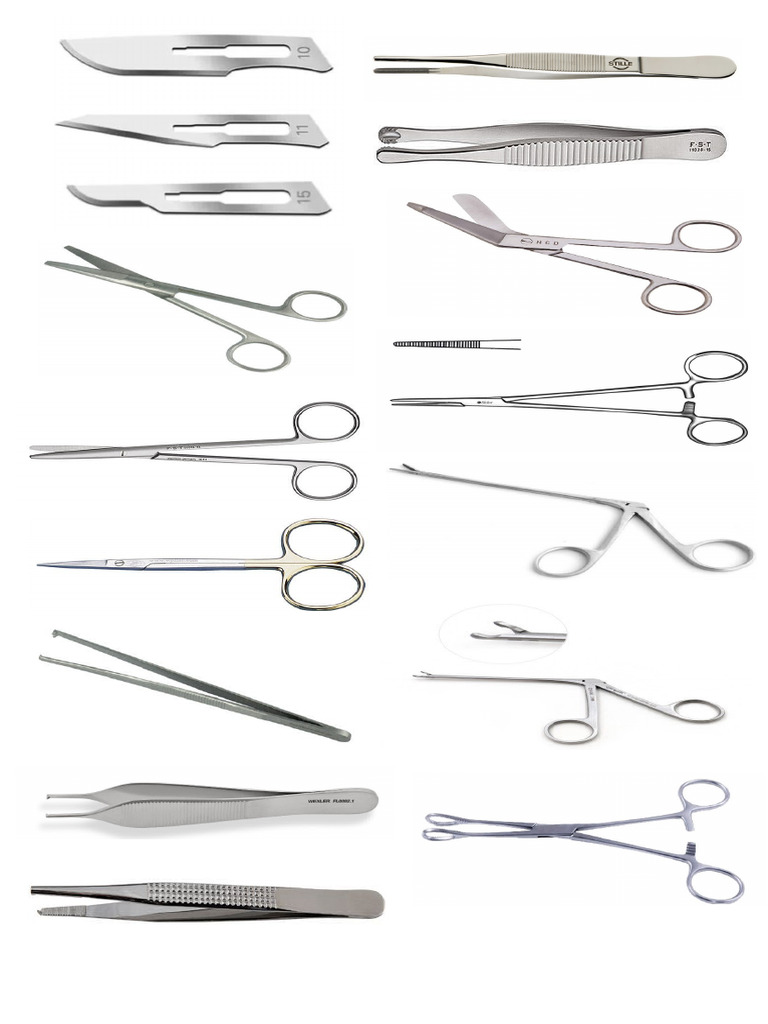 Common Instrument | PDF