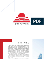 Company Profile of Puyang