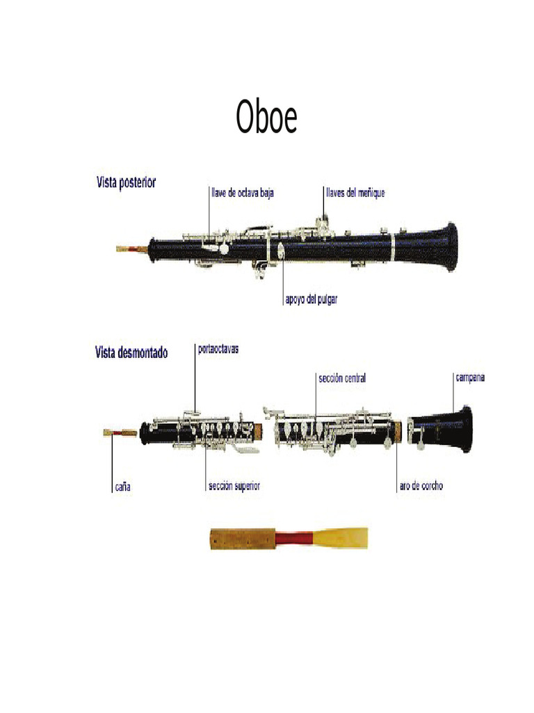 Partes Oboe PDF