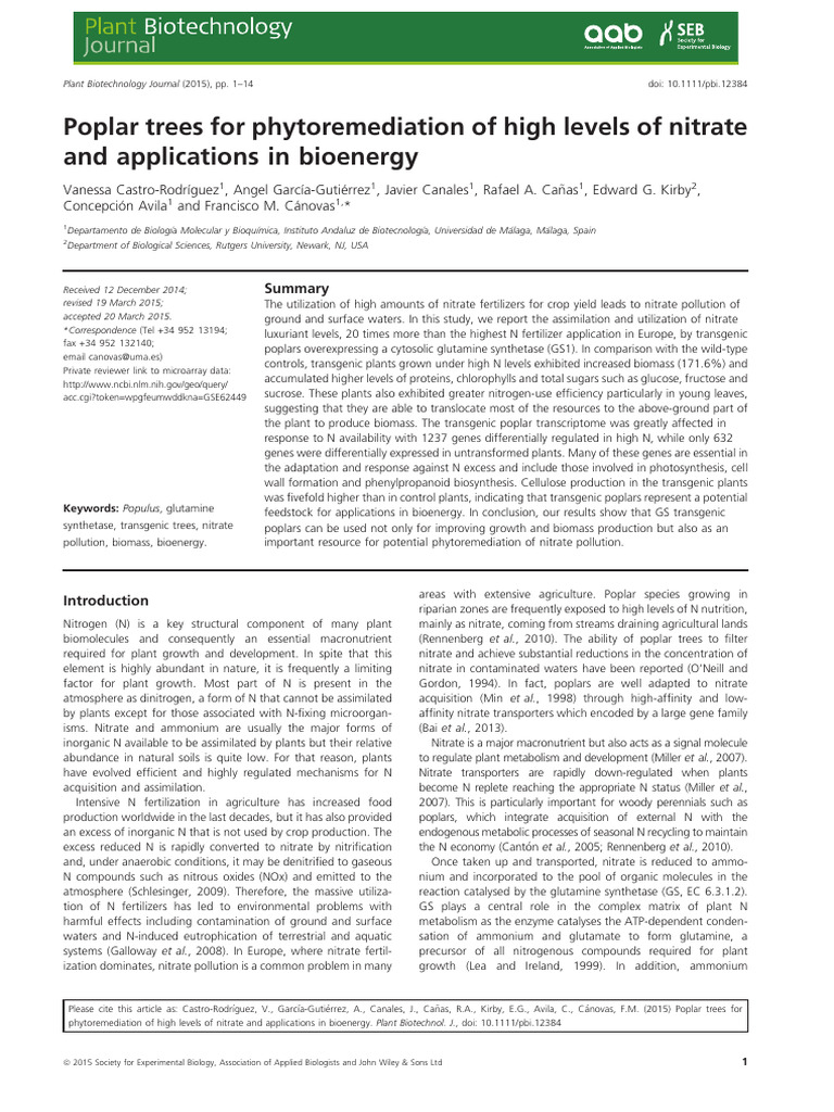 Transgenic Poplars for Nitrate Remediation | PDF | N Ox | Fertilizer