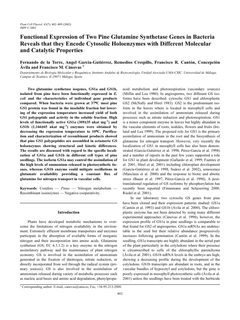 functional-expression-of-two-pine-glutamine-synthetase-genes-plant