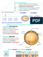 2.1.2 Difusao e T Ativo