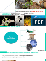 2.2.1. Obtenção de matéria Heterotroficos- SISTEMA ENDOMEMBRANAR_dig_intracelular 