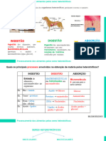 2.2.2. Obtenção de Matéria Heterotroficos - Dig - Extracelular