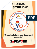 Charlas de Seguridad F 220213 074220 (1)