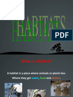 Animal Habitats Pptx