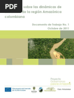 Download Lnea base sobre las dinmicas de desarrollo dela regin Amaznica colombiana by Fondo Patrimonio Natural SN72262676 doc pdf