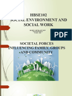 Social Environment and Social Work LESSON 4