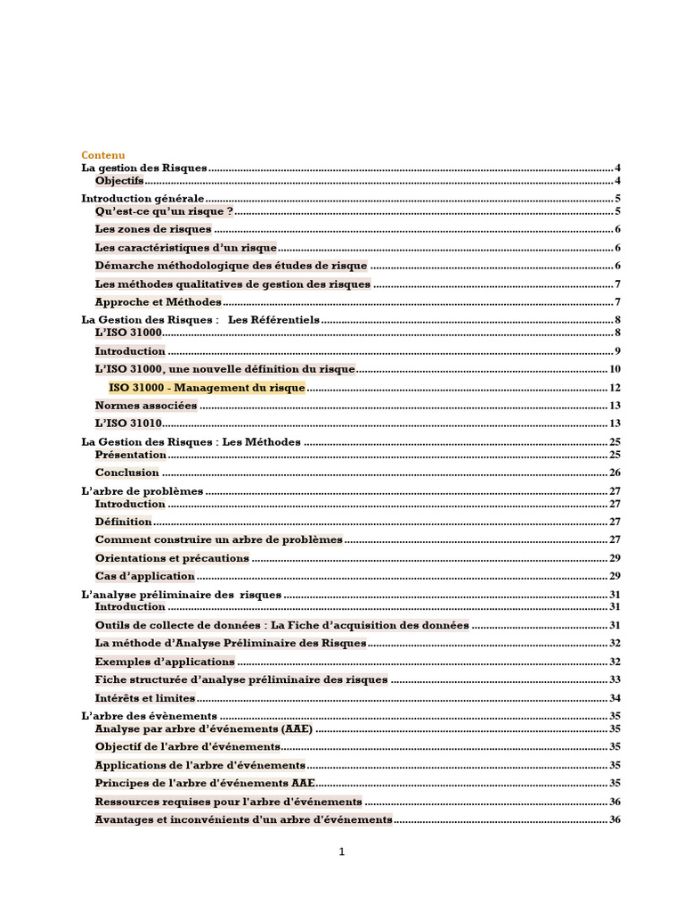 Cours sur la gestion des risques PDF | PDF | Risque | Gestion des risques