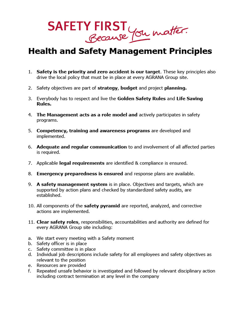 Golden Principles of Safety Management | PDF
