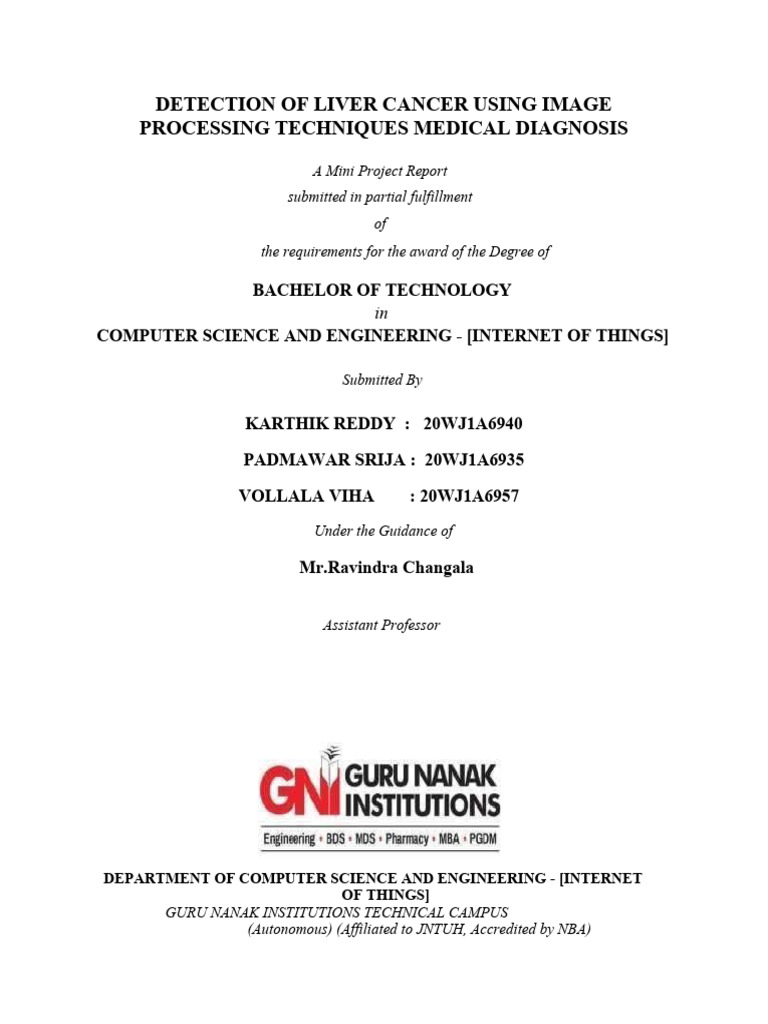 Liver Cancer Detection via Image Processing | PDF | Software Testing ...
