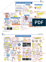 Mapa Mental Obstetricia