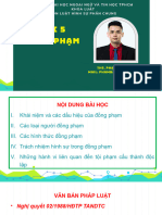 HSC Bài 5 - Đồng Phạm