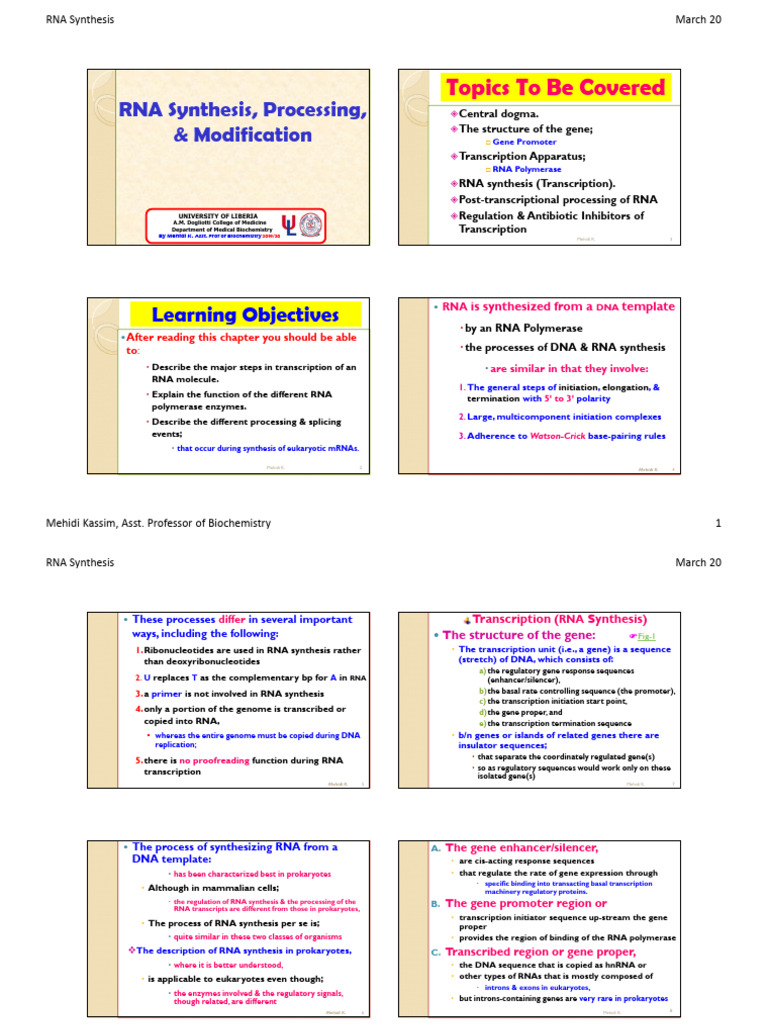 2020 Rna Synthesis Processing Handout Pdf Rna Gene