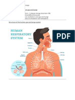 Breathing, Ventilation and Gas Exchange