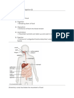 Chapter 4 - Food and Digestion