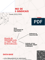 RESUMO DE LUTAS SINDICAIS (2)