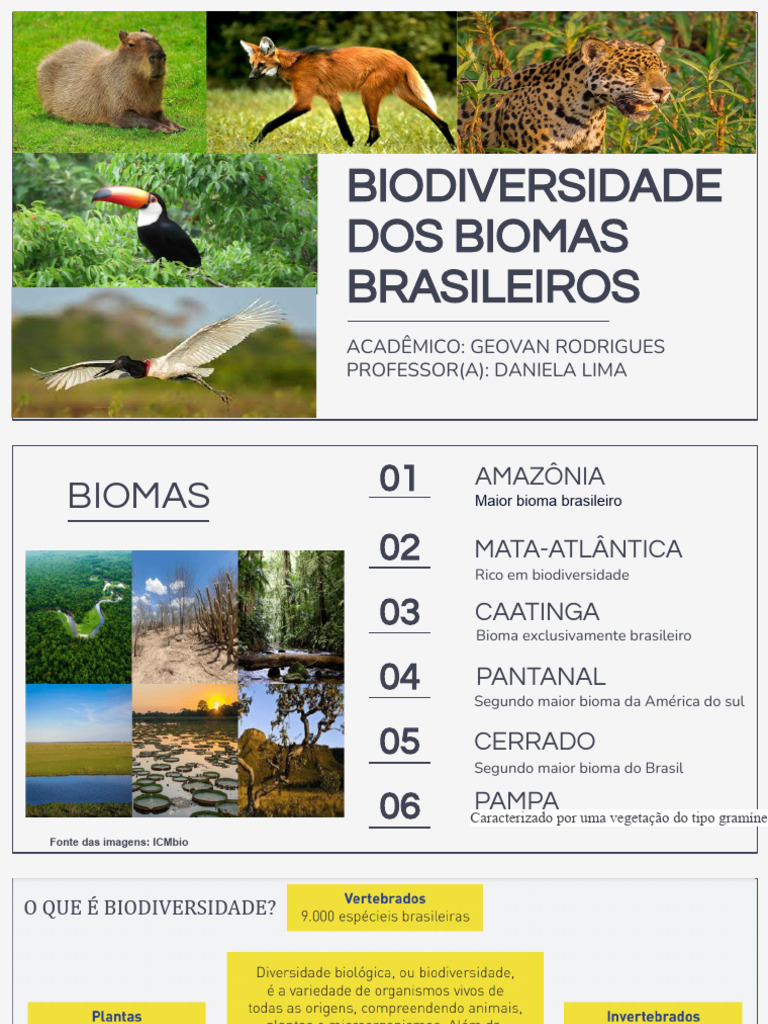 Biodiversidade dos Biomas Brasileiros | PDF | Ciências e Matemática
