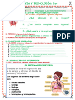 Iii-1g-Ciencia - Sistema Respirat - Ficha