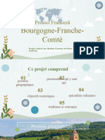 Proiect Franceza