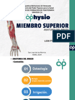 Miembro Superior (Anatomía Brazo) Oph - PPTX - 20240401 - 062603 - 0000