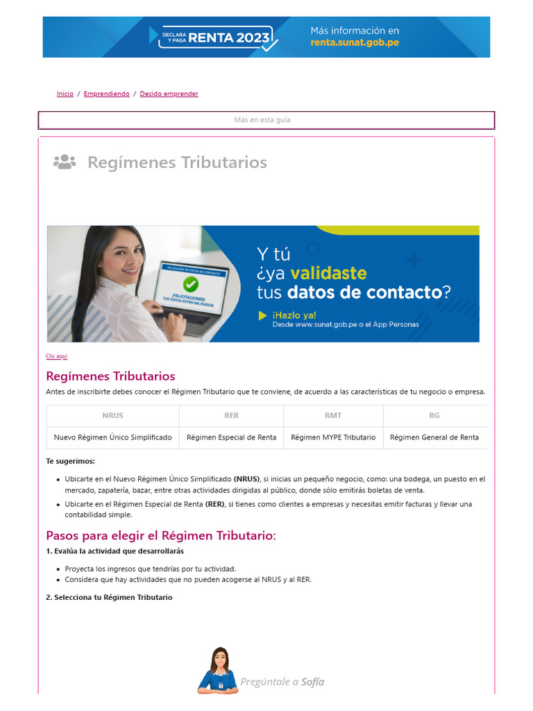 Guía de Regímenes Tributarios en Perú | PDF | Impuestos | Impuesto ...