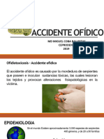 Accidente Ofidico Macb