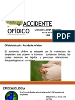 Accidente Ofidico Macb